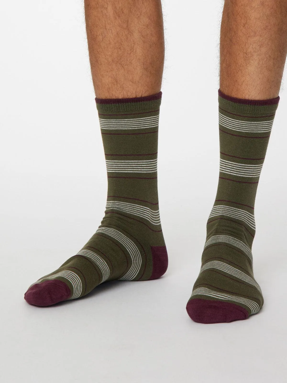 Edoardo Stripe Socks - Khaki Green